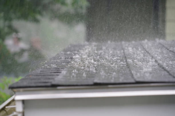 Best Steel Roofing  in Sylva, NC