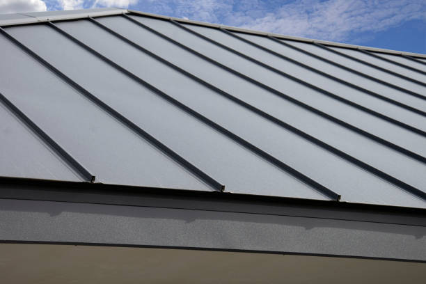Best Roof Coating Services  in Sylva, NC